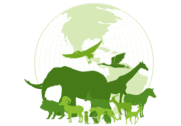 Living World